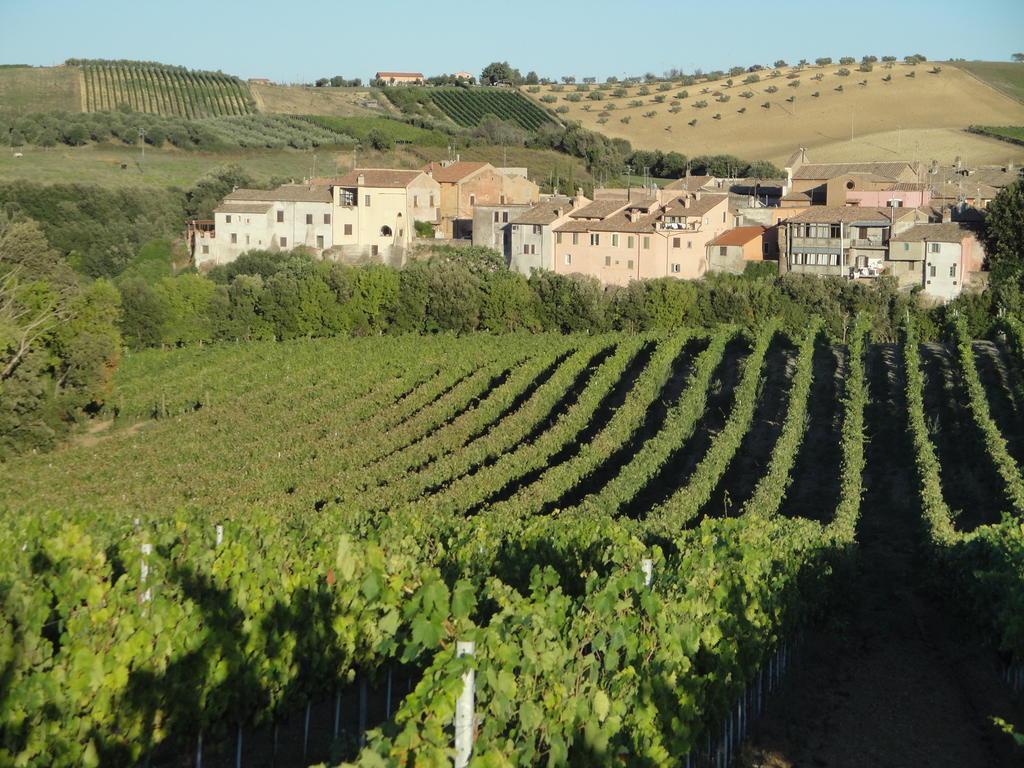 Bauernhof La Valle Di Ceri Cerveteri